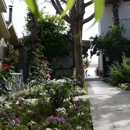 Hotel Andiz 3*